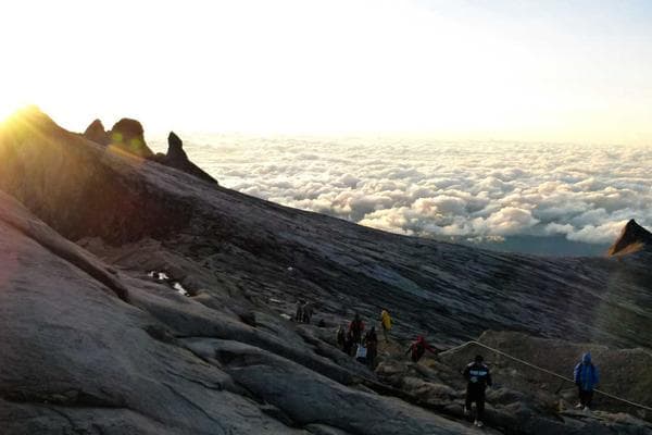 Графический дизайн и коммуникации