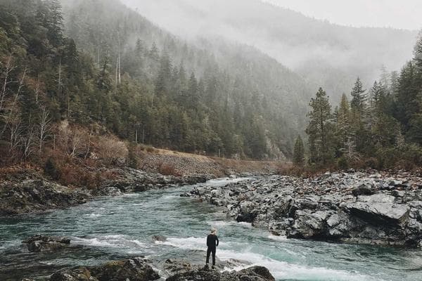 Графический дизайн: базовый уровень